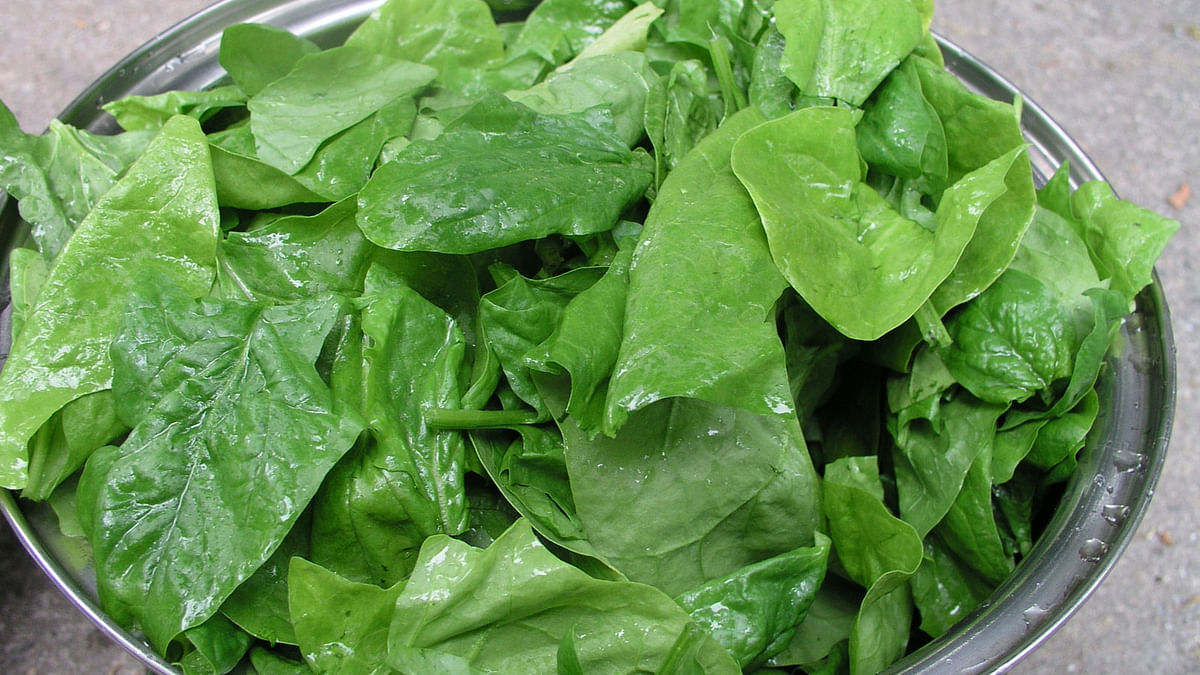 Eating spinach helps prevent vision loss. Photo: Collected
