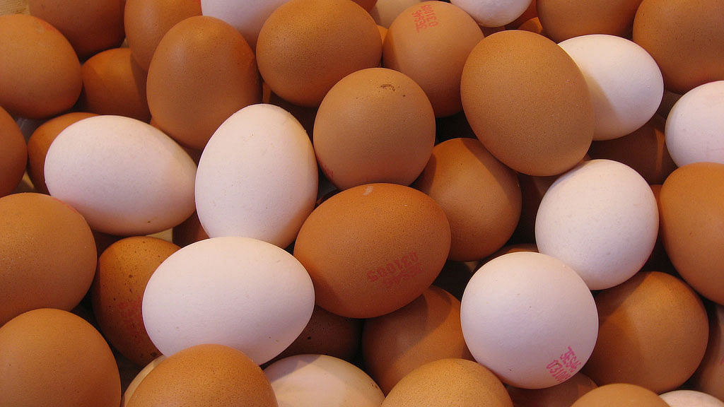 Everyone should take two eggs a day, says FAO