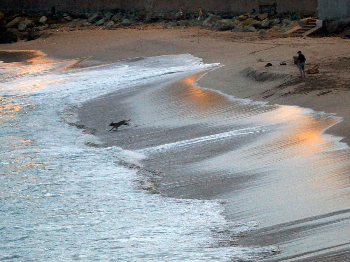 A dog chases receding waves along the shore in Mazatlan, Mexico, Tuesday, Oct. 23, 2018, before the arrival of Hurricane Willa. Willa is headed toward a Tuesday afternoon collision with a stretch of Mexico`s Pacific coast, its strong winds and high waves threatening high-rise resorts, surfing beaches and fishing villages. Photo: AP