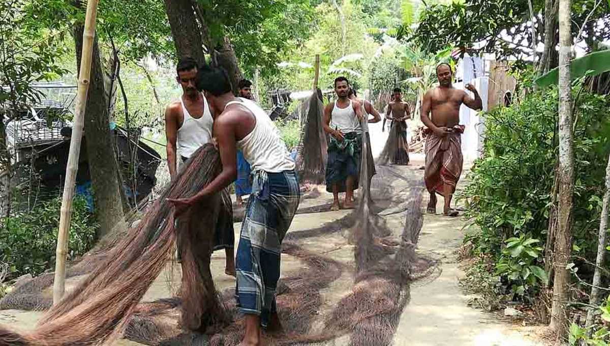 The photo shows fishermen taking preparation to go to the Bay as the ban on catching hilsa fish is about to end. Photo: UNB