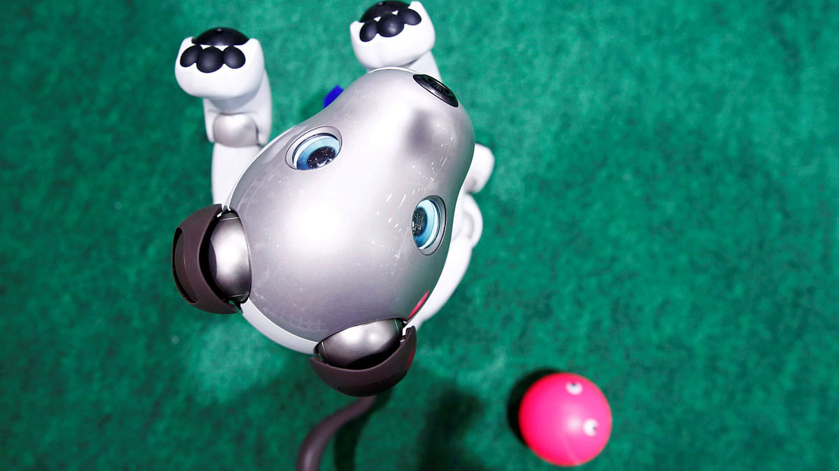 An AIBO robot dog is pictured at Sony Corp`s entertainmentrobot AIBO`s fan meeting in Tokyo, Japan on 26 August 2018. Photo: Reuters