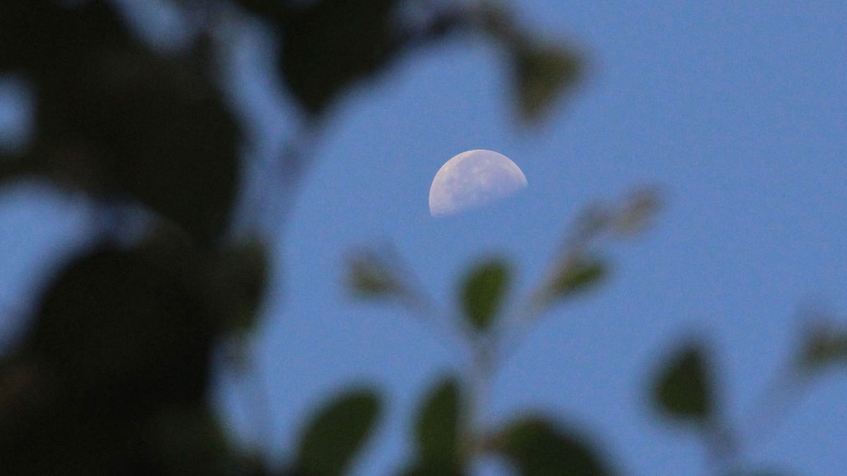 The moon was pictured in the morning sky at Manra, Manikganj on 31 October by Abdul Momin