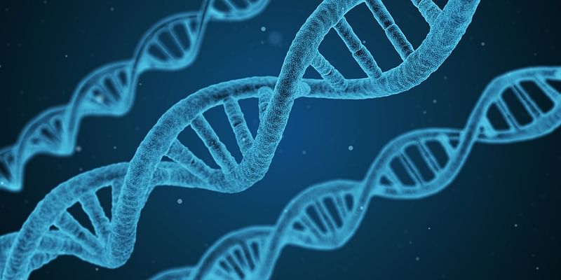 Scientists launched a vast project on Thursday to map the genetic code of all 1.5 million known species of complex life on earth, aiming to complete the work within a decade Cap: DNA string biology. Photo: Collected