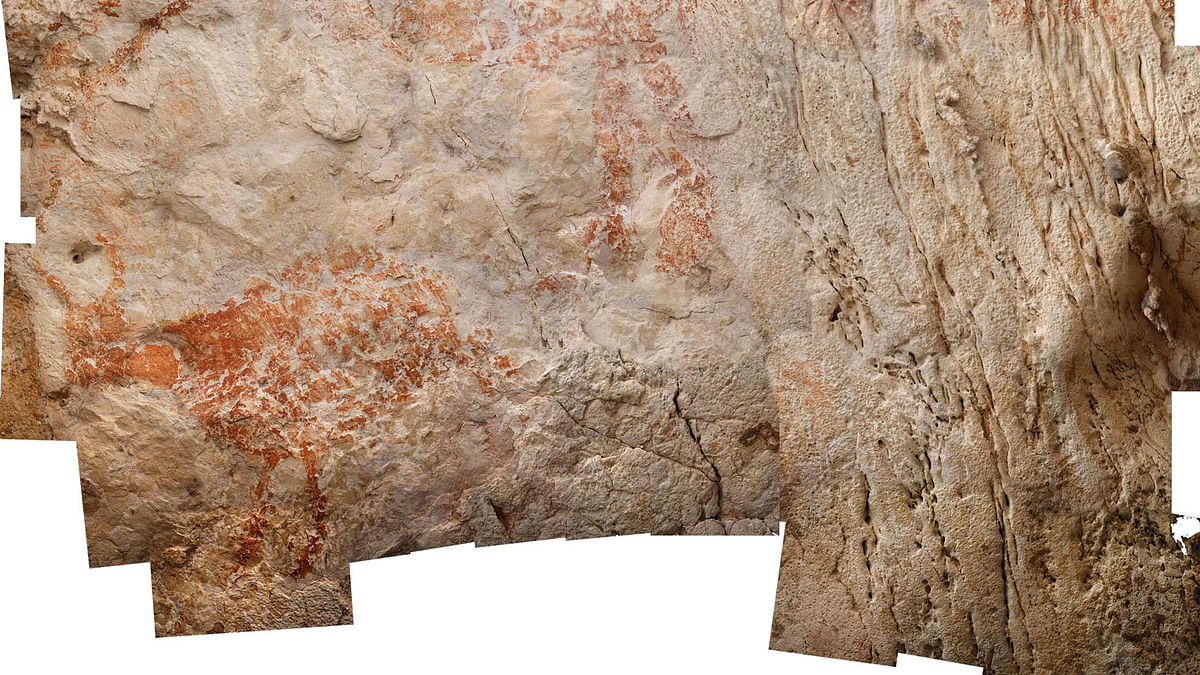 A handout photo released on 7 November 2018 by the Nature Publishing Group shows the world`s oldest figurative artwork from Borneo dated to a minimum of 40.000 years. Photo: AFP