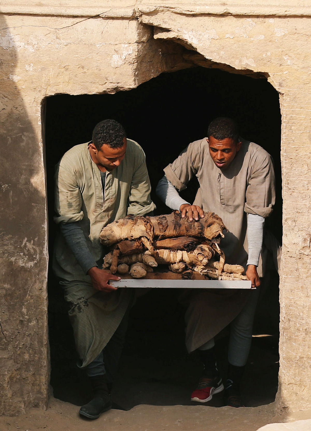 Workers carry mummified cats outside the tomb of Khufu-Imhat, at the Saqqara area near its necropolis, in Giza, Egypt on 10 November 2018. Photo: Reuters