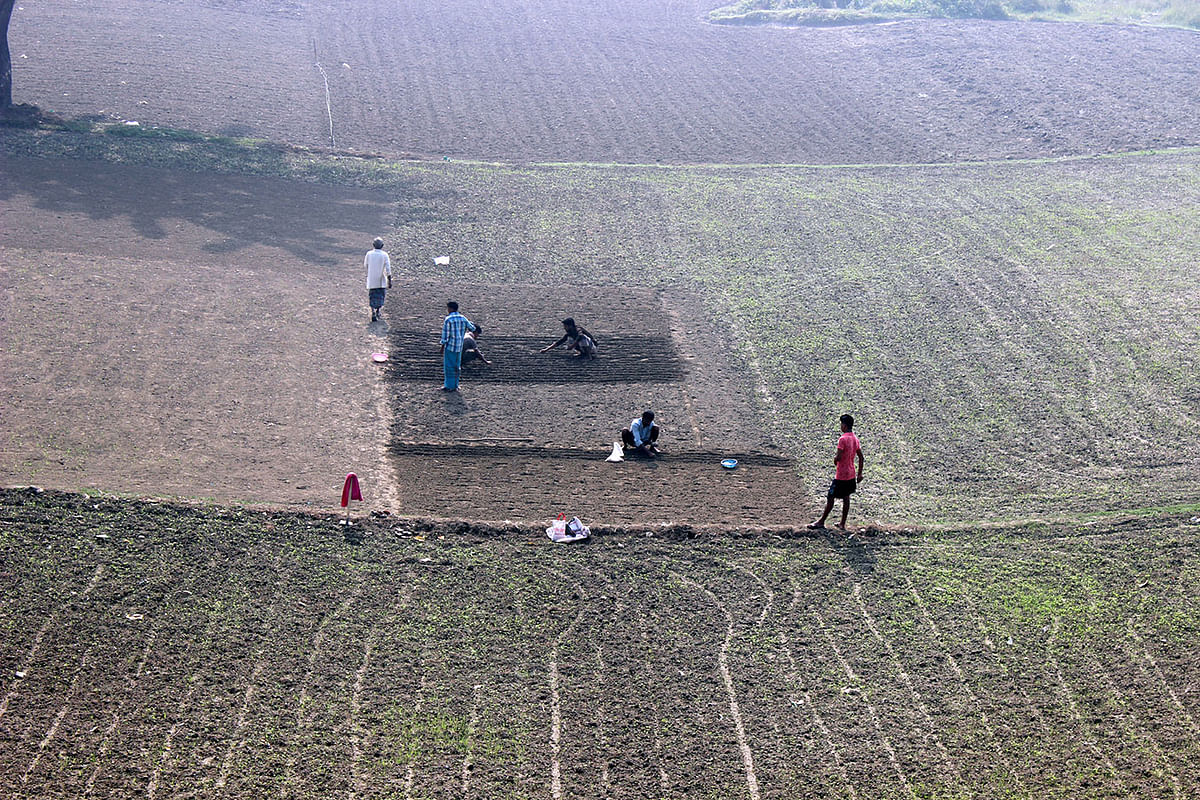 Farmers planting winter vegetables on dried up river bed of Brahmaputra in Char Kalibari, Mymensingh on 9 November. Photo: Anwar Hossain