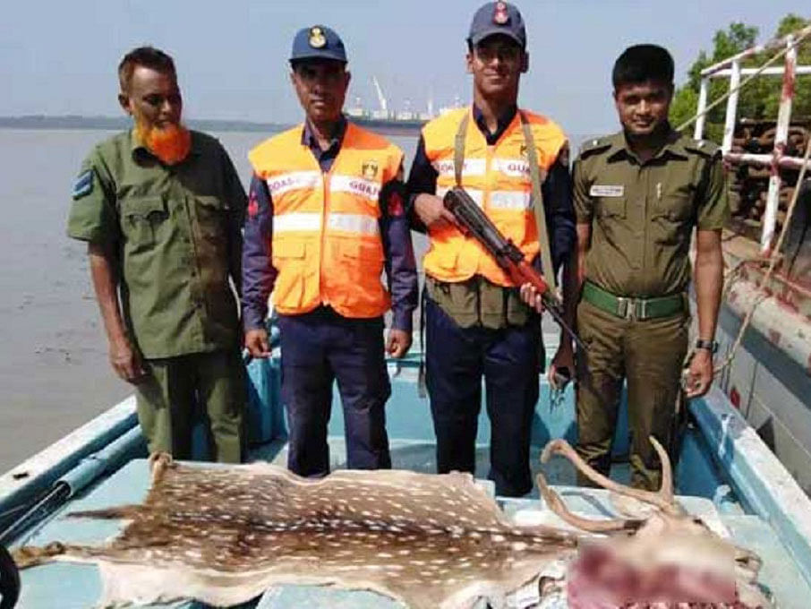 Members of Bangladesh Coast Guard on Sunday seize meat, head and skin of a slaughtered deer during a drive near Mirgamari canal of Sundarbans in Mongla upazila. Photo: UNB
