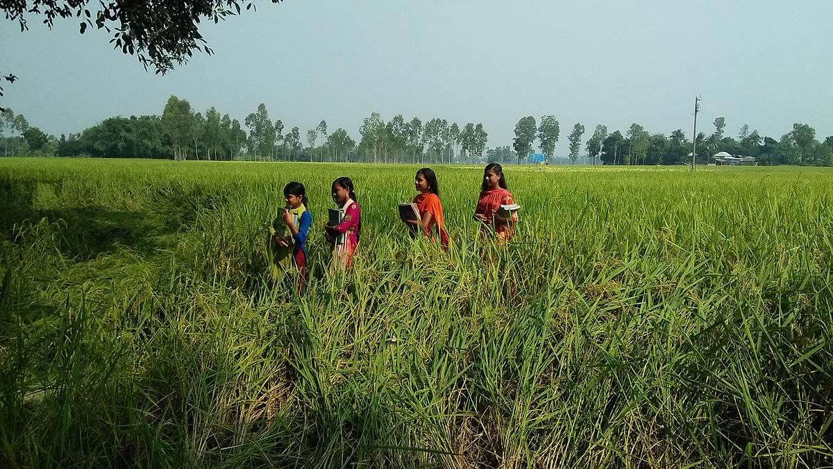 Children going to school in Khoichala, Raiganj, Sirajganj on 8 November. Photo: Sajedul Alam