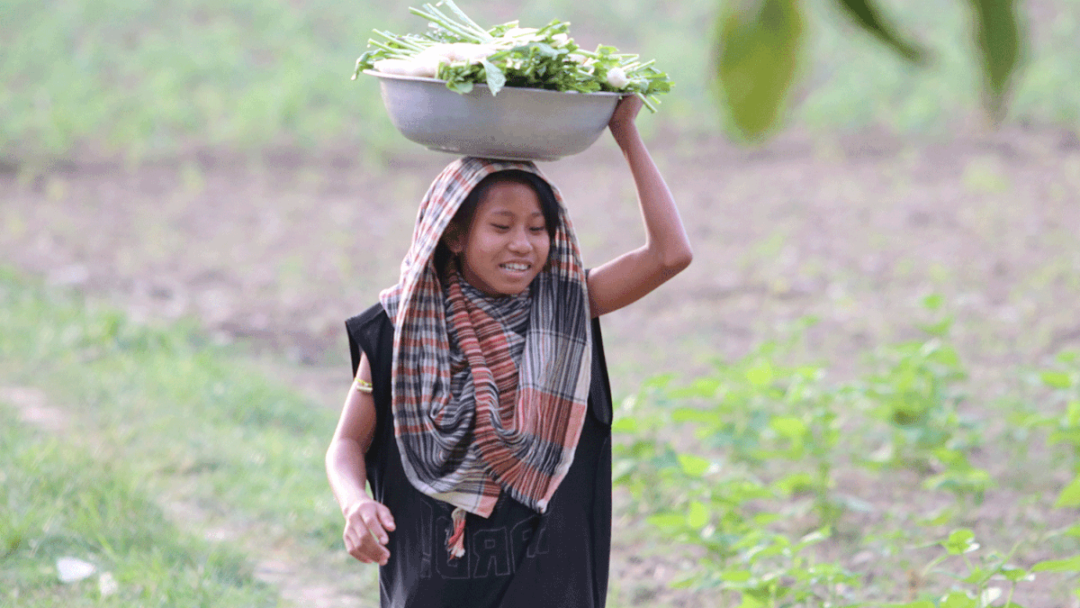 A girl returns from fields harvesting raddish at Dakshin Golabari, Khagrachhari on 14 November 2018. Each kg sells at Tk 30 in the local market. Photo: Nerob Chowdhury