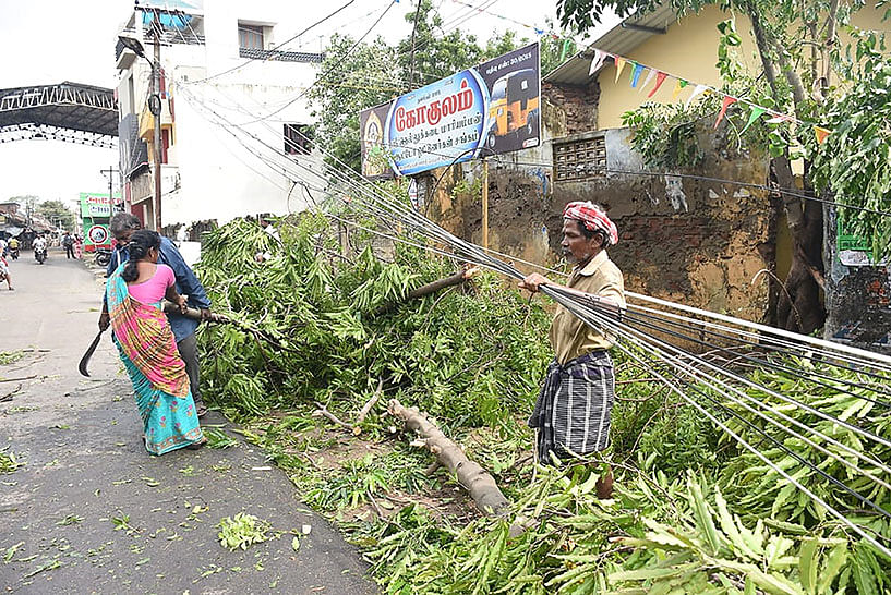 Powerful winds felled trees, destroyed homes and forced thousands to flee to safety as Cyclone Gaja barrelled into India`s eastern coast 16 November. Photo: AFP