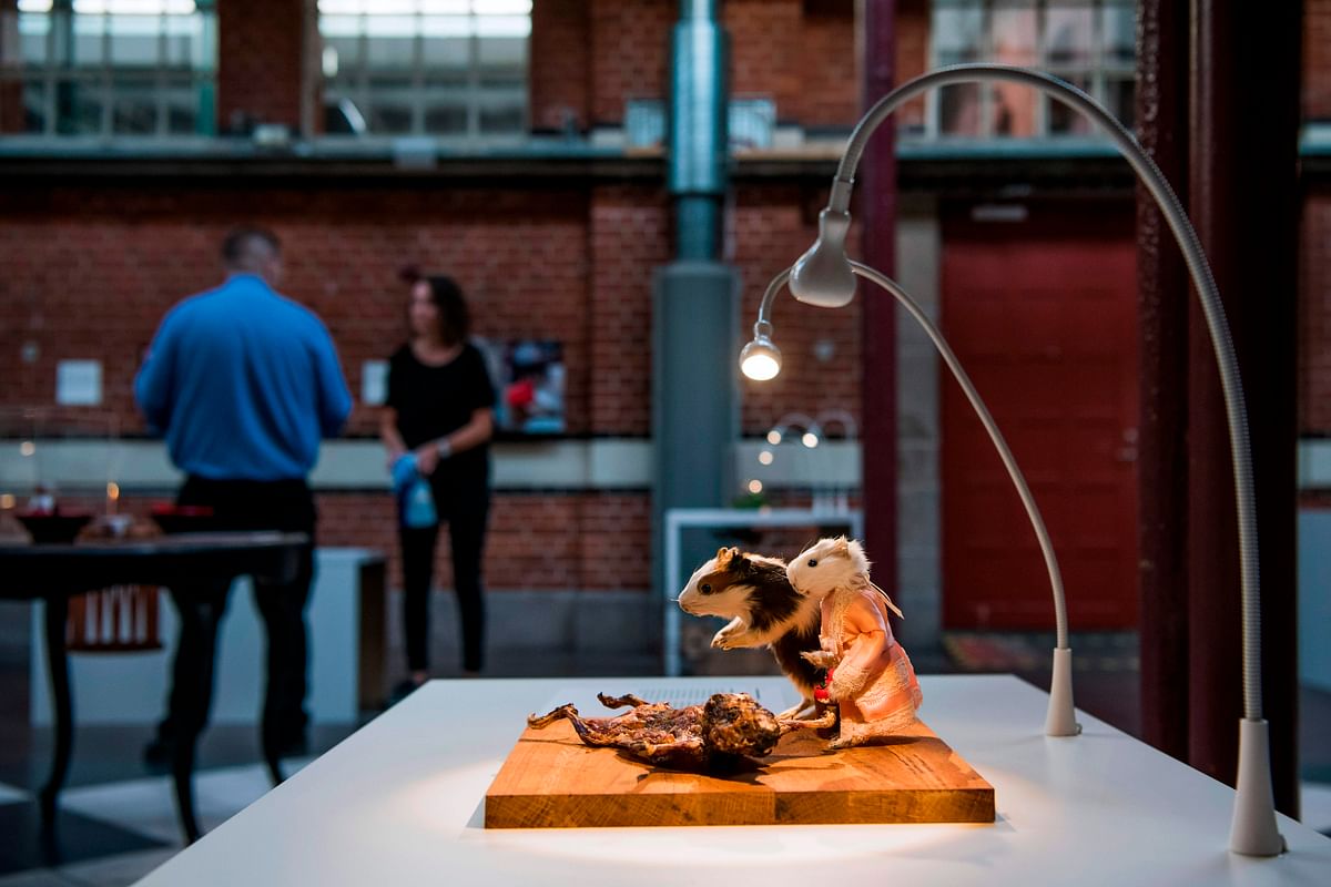 The `Cuy` guinea pig culinary speciality from Peru is presented at the Disgusting Food Museum on 7 November 2018 in Malmo, Sweden. Photo: AFP