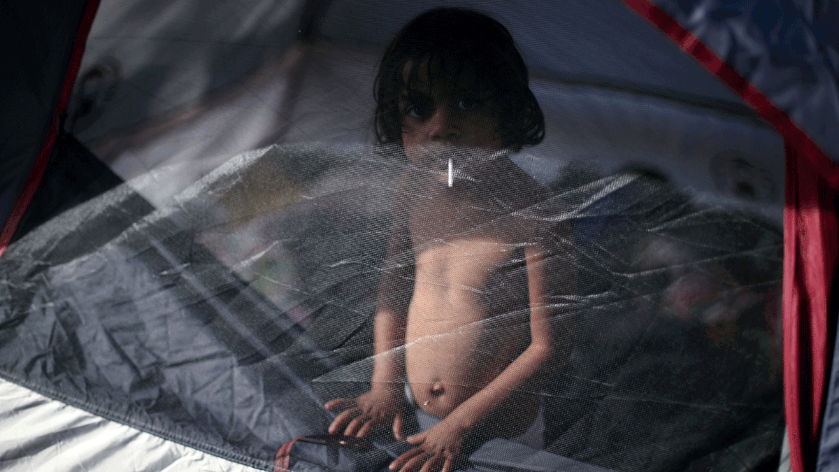 A migrant girl, part of a caravan of thousands from Central America trying to reach the United States, looks out from her tent as she rests in a temporary shelter in Tijuana, Mexico, 22 November 2018. Photo: Reuters