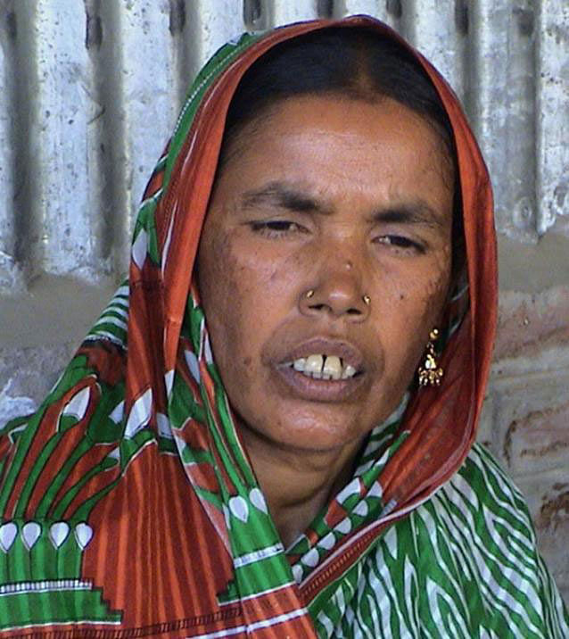 Bir Protik Taramon Bibi. Prothom Alo File Photo