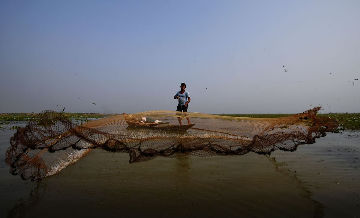 An Indian fisherman fishes with a traditional net at the Mangalajodi bird sanctuary around 65 kilometres south of Bhubaneswar on 7 December, 2018. Photo:  AFP