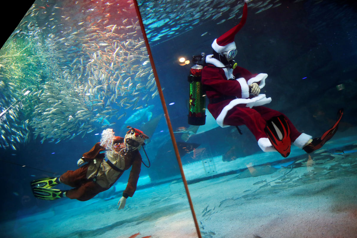 Divers dressed as Santa Claus and Rudolph the Red-Nosed Reindeer swim with sardines during a promotional event for Christmas in Seoul, South Korea, 7 December, 2018. Photo: Reuters