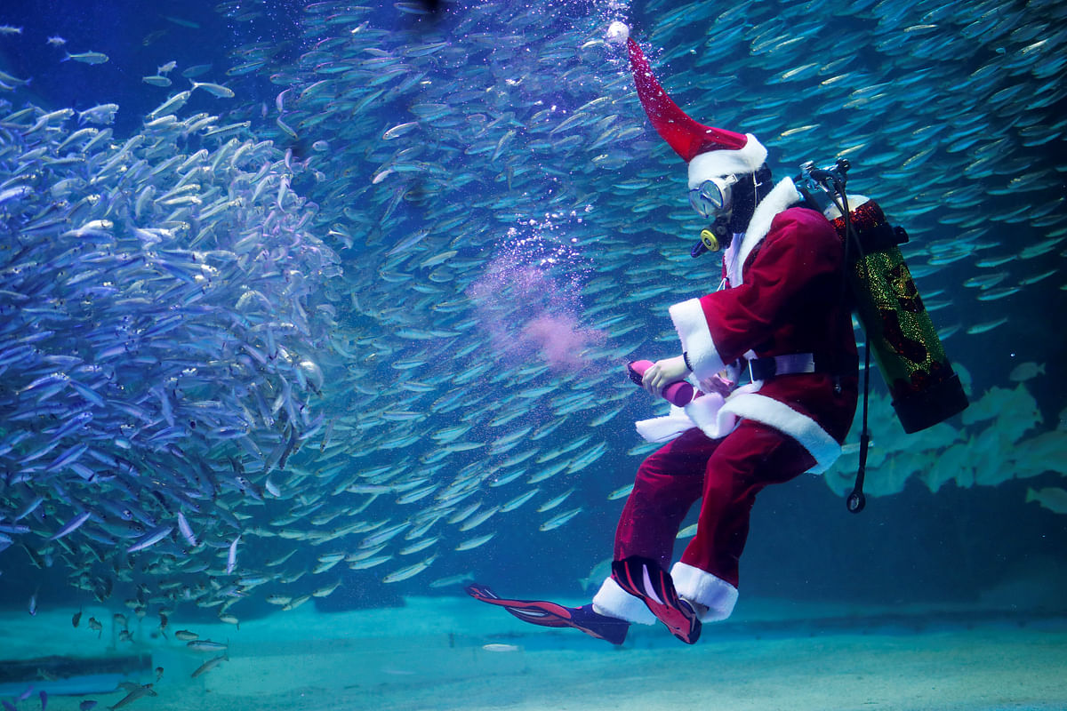 A diver dressed as Santa Claus swims with sardines during a promotional event for Christmas in Seoul, South Korea, 7 December, 2018. Photo: Reuters
