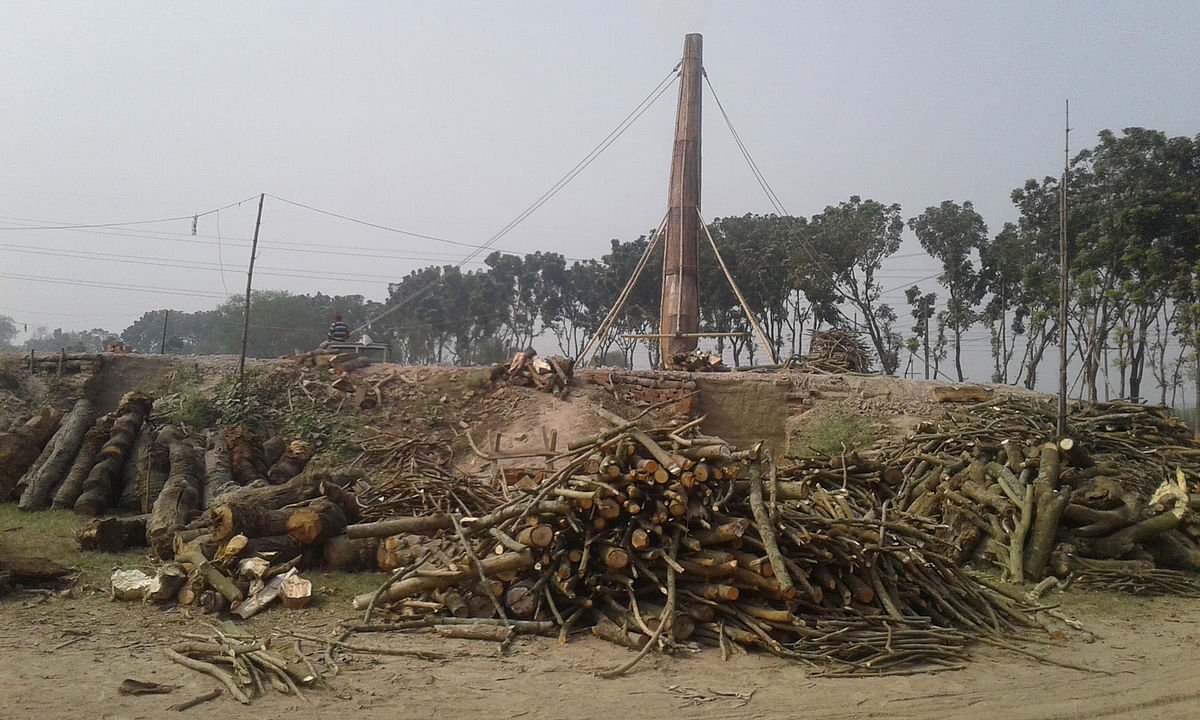 Though the use of timber is illegal to burn in making bricks, timber was seen piled up at a Kaliganj brick factory in Jhenaidah recently. Photo: Prothom Alo