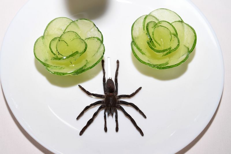 `Fried Tarantula` from Cambodia is presented in the Disgusting Food Museum on 6 December 2018 in Los Angeles, California. Photo: AFP