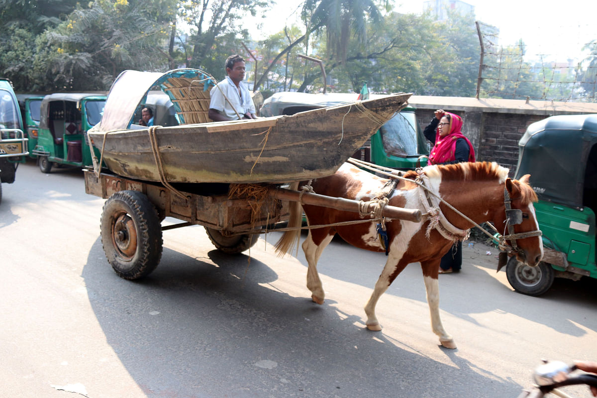 A boat collected from the char areas of Pabna being carried on a horse drawn cart to be used in electoral campaign in Gobinda, Pabna on 12 December. Photo: Hassan Mahmud