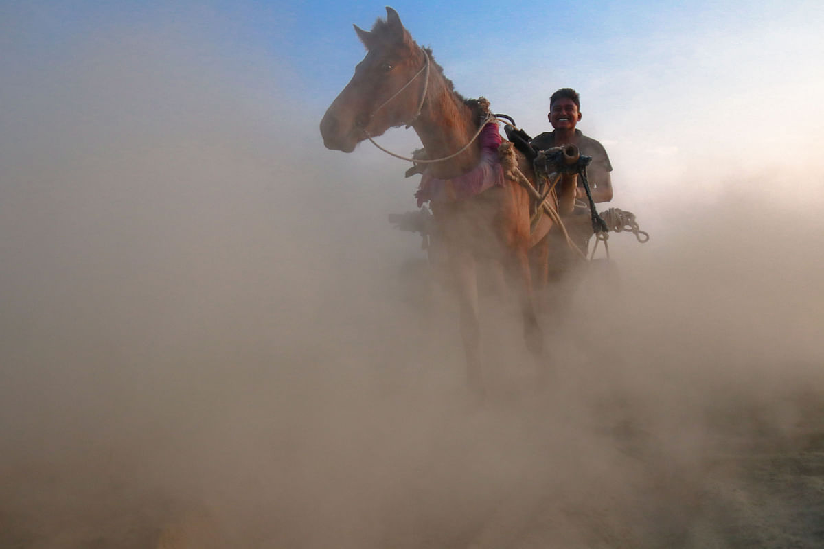 Coachman of a horse drawn carriage seen in the dust in the twilight on 14 December at Padmar Char in Pabna on 14 December. Photo: Hassan Mahmud