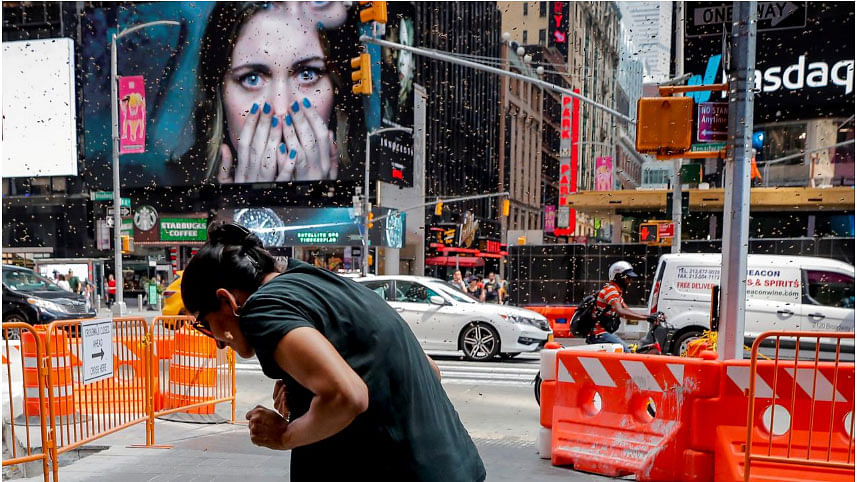 A woman reacts to a swarm of bees in Times Square in New York City, US, on 28 August 2018. -- Photo: Reuters