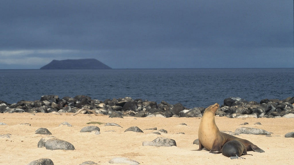 Galapagos islands. Photo: AFP