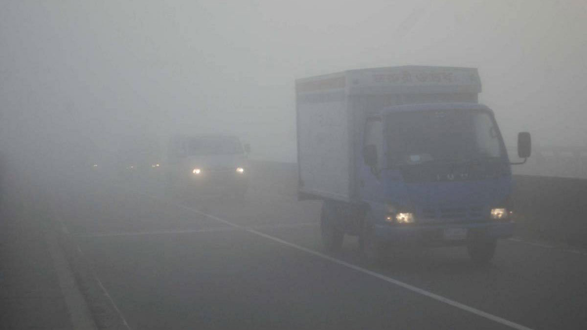Vehicles are seen plying amind thick fog. Photo: UNB