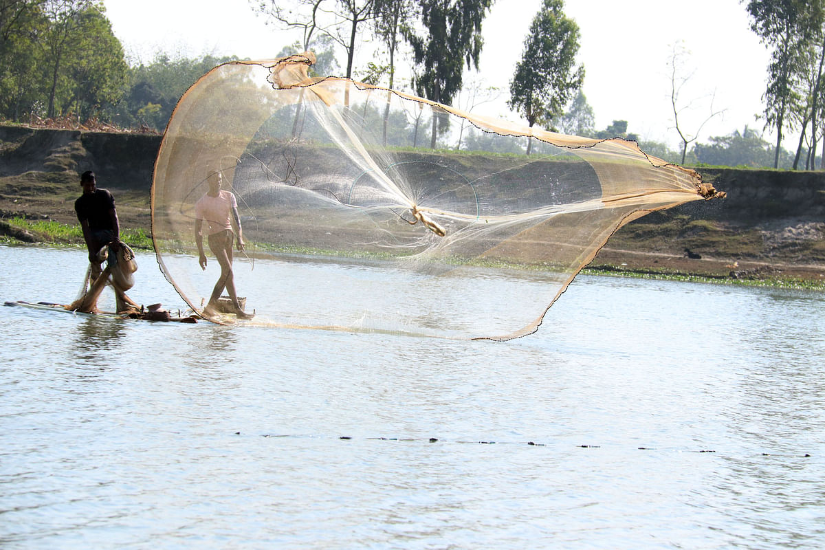 A man catches fish with net at river Ghaghot at Damdama in Rangpur on 31 December. Photo: Moinul Islam