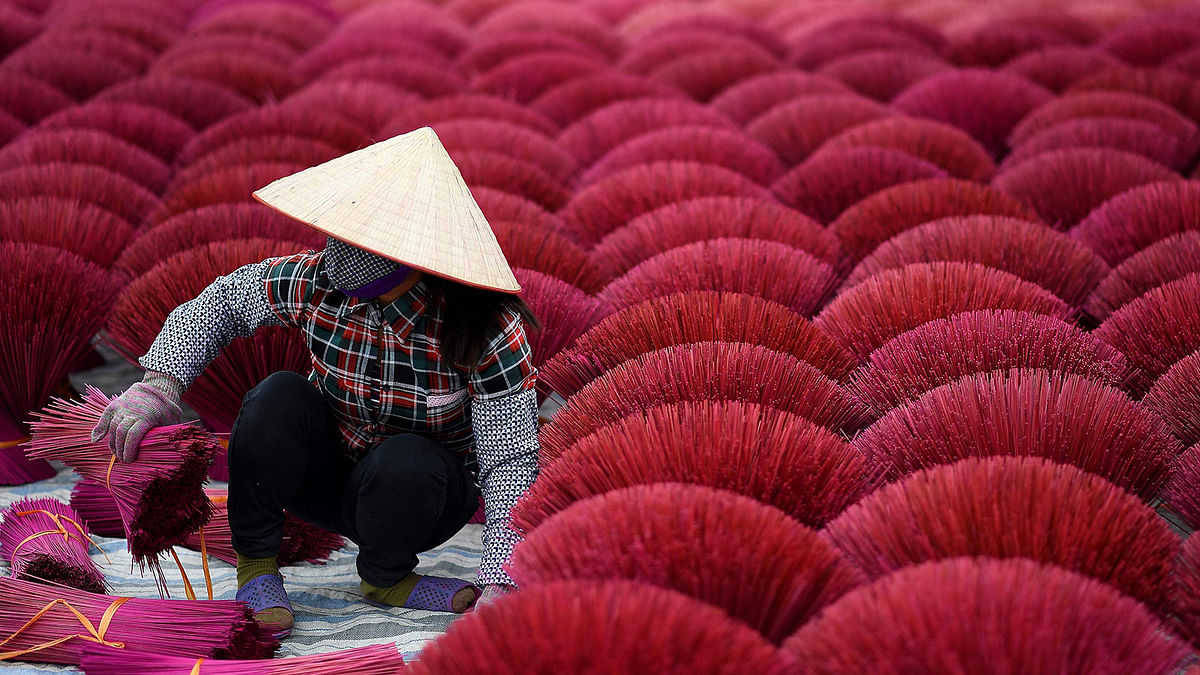 This picture taken on 3 January 2019 shows a Vietnamese woman collecting dried incense sticks in a courtyard in the village of Quang Phu Cau on the outskirts of Hanoi. Photo: AFP