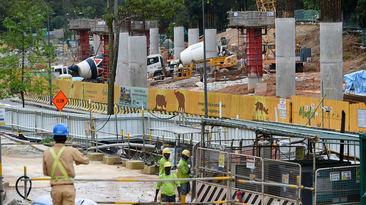 This photograph taken on 14 December 2018 shows undergoing road infrastructure development in the city-state`s remaining green area in Mandai district leading to Singapore Zoo. Photo: AFP