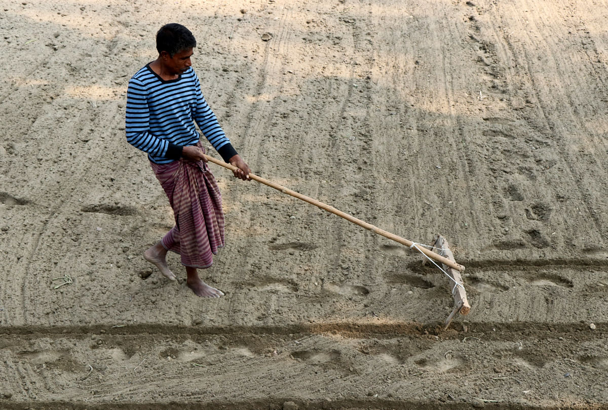 A man preparing a field at Palli Mangal Haat, Bogura on 9 January. Photo: Soel Rana