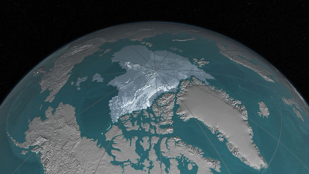 Collected image of arctic ice