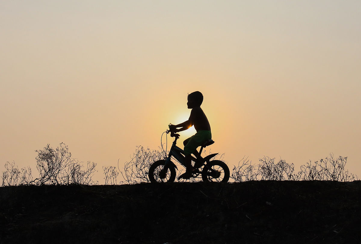 A child riding a bicycle returns home during twilight at Bujbunia, Botiaghata in Khulna on 12 January. Photo: Saddam Hossain