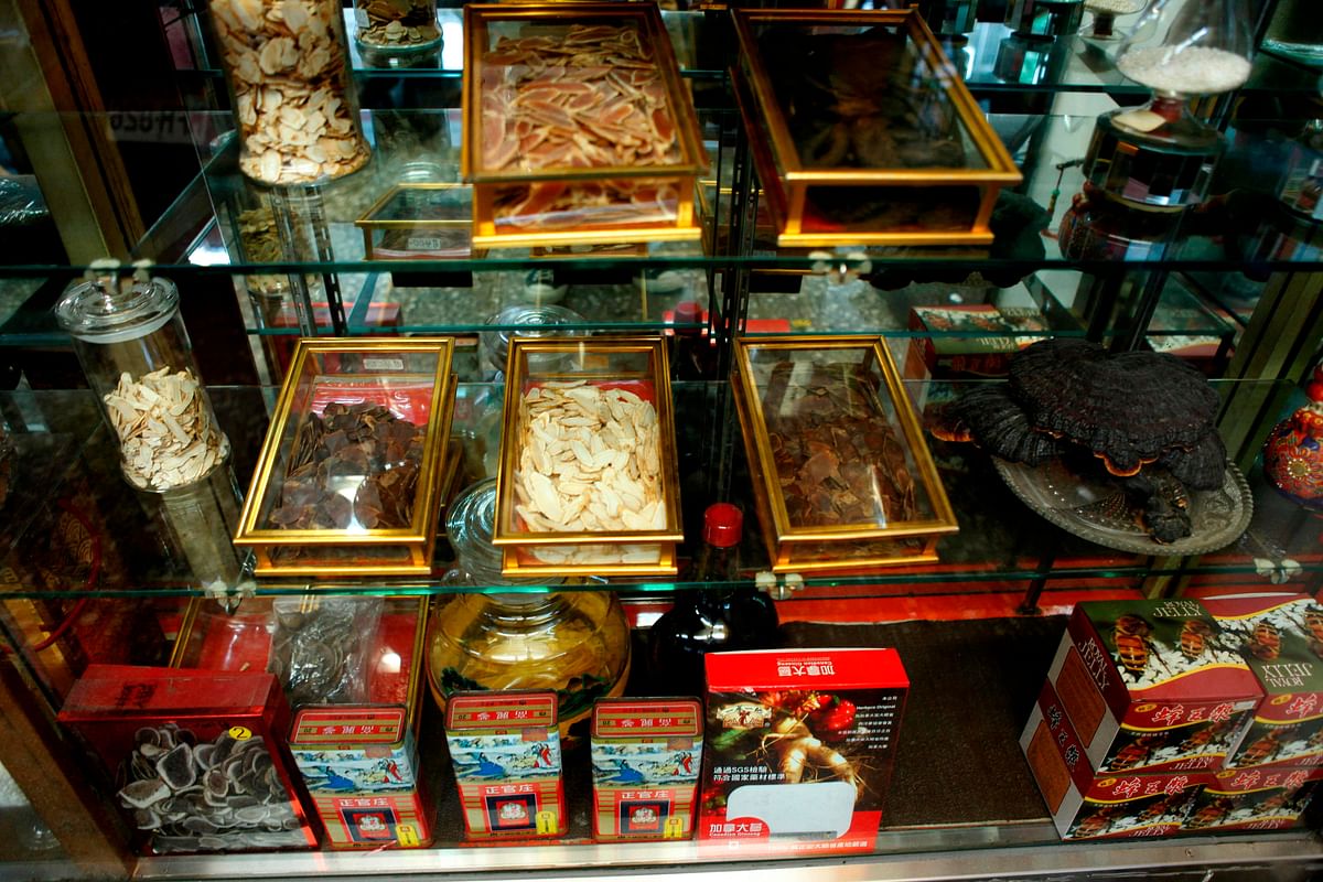 This photo taken on 25 December 2018 shows various ingredients on offer at a traditional Chinese herbal medicine shop in New Taipei City. Photo: AFP