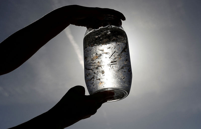 Maria-Luiza Pedrotti, CNRS marine biologist specialised in microplastics, looks at sea sample taken from the Mediterranean Sea on a coastal research vessel as part of a scientific study about microplastics damaging marine ecosystems, near Villefranche-Sur-Mer, on the French Riviera, France, 19 October 2018. Reuters File Photo