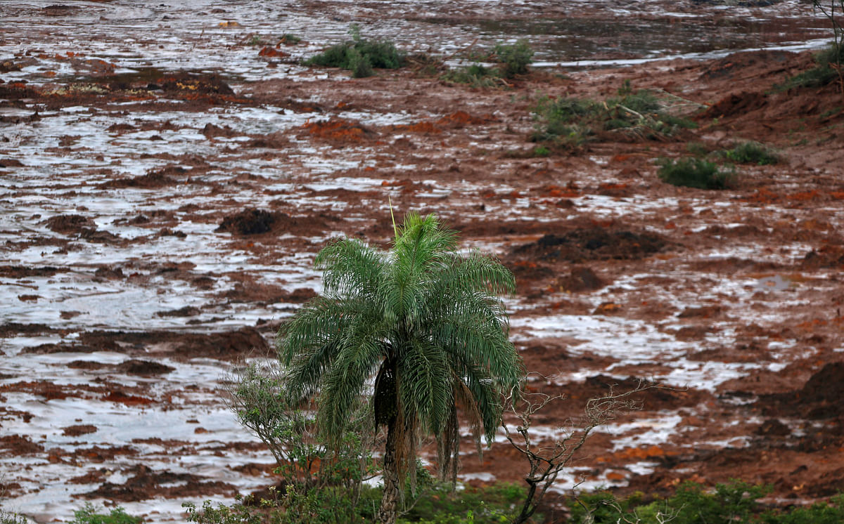 A view of an area near a tailings dam owned by Brazilian miner Vale SA that burst, in Brumadinho. Photo: Reuters