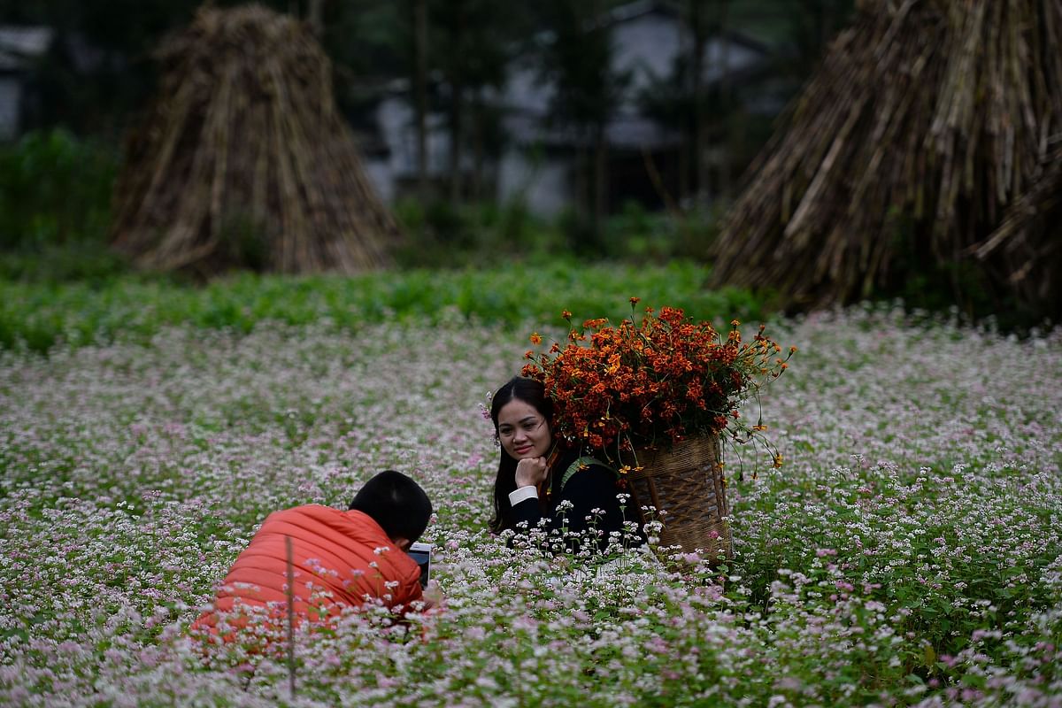This picture taken on 29 October 2018 shows tourists taking photos in a field of flowering buckwheat in Dong Van district, northern Vietnam`s Ha Giang province, home to the Hmong ethnic minority. Photo: AFP