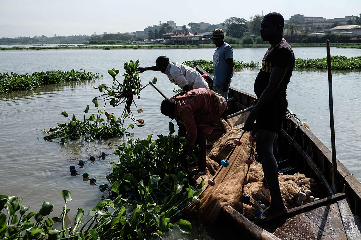 In this file photo taken on 2 October 2018 shows fishermen as they remove water hyacinth from the net in Lake Victoria in Kisumu, western Kenya. Nets piled into wooden boats, the fishermen, ready to set sail, joke to kill time. Photo: AFP