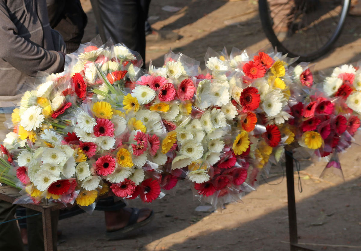 Gerbera sorted in the flower market of Godkhali in Jhikargachha, Jashore. Photo: Ehsan-Ud-Doula