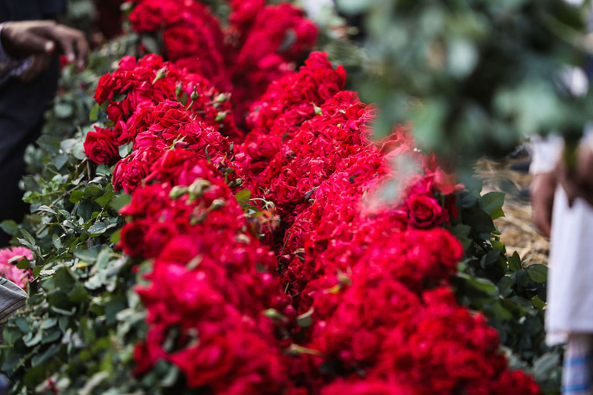 Roses are seen at the flower market in Dhaka`s Shahbagh area during the festive occasions of Pahela Falgun and Valentine`s Day being celebrated from 13 and 14 February. Photo: Dipu Malakar