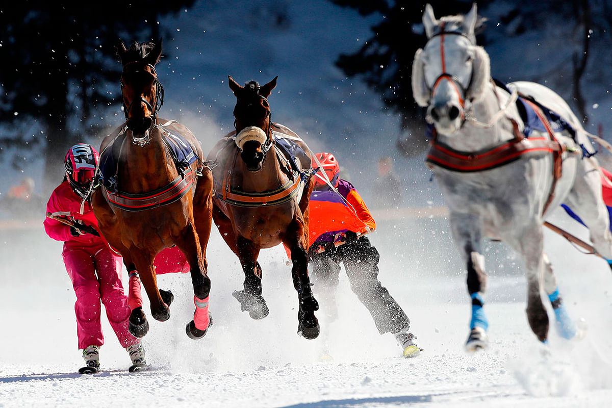 Competitors take part in the Skikjoering (Skijoring) race at the White Turf horse racing event held on the frozen lake of the Swiss mountain resort of St. Moritz on 17 February 2019. Photo: AFP