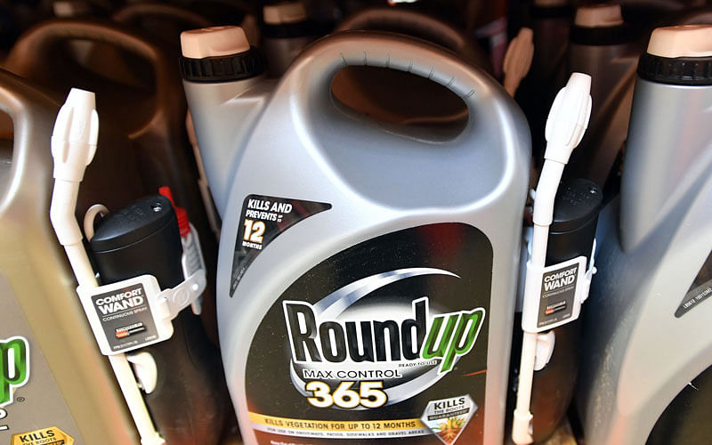 In this file photo taken on 9 July 2018 Roundup products are seen for sale at a store in San Rafael, California. Photo: AFP