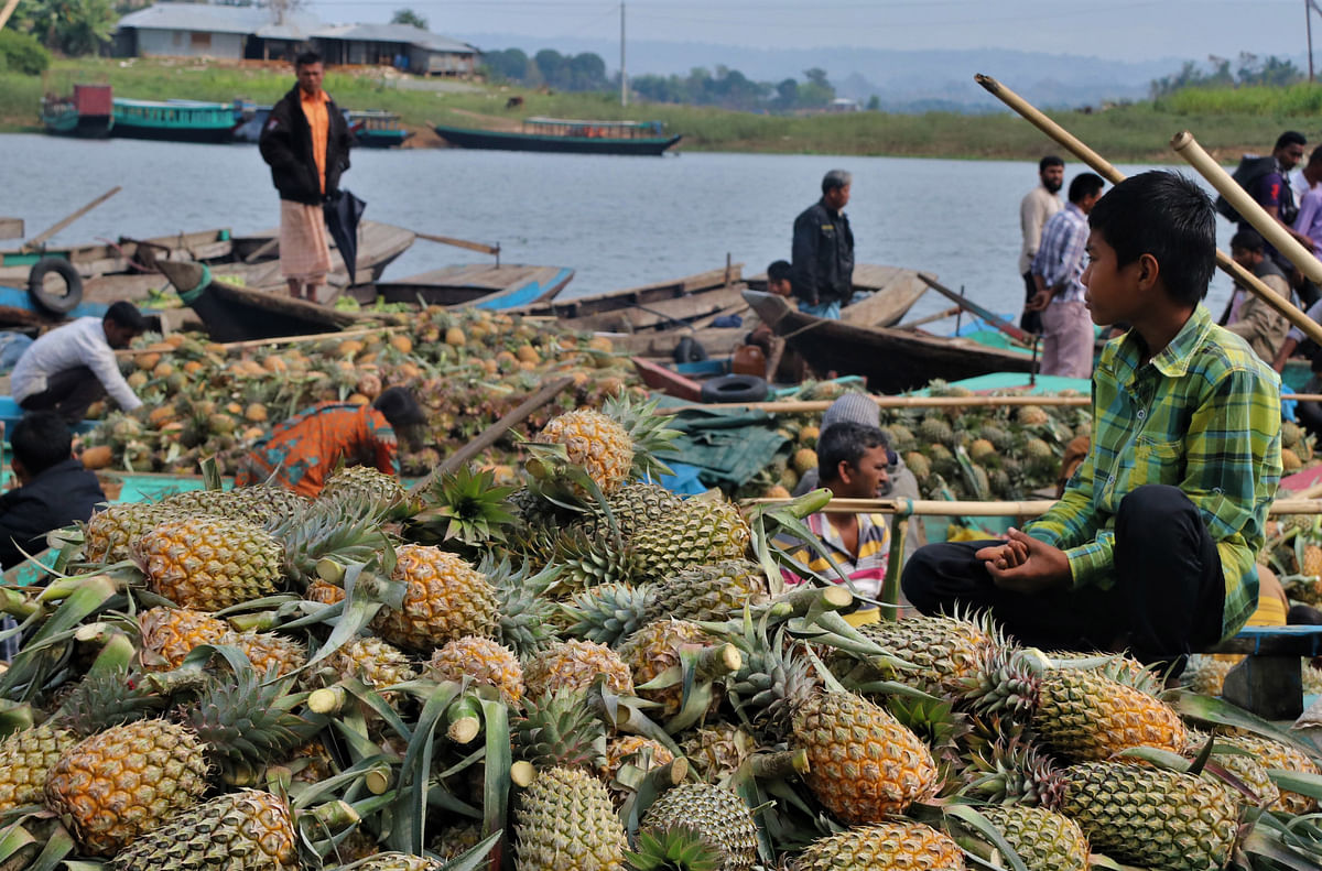 Boats loaded with pineapples at Banarupa Bazar Ghat in Rangamati on 2 March. Pineapples harvested well in this unusual time of the year and the wholesalers buy these at Tk 10 to 15. Photo: Supriya Chakma