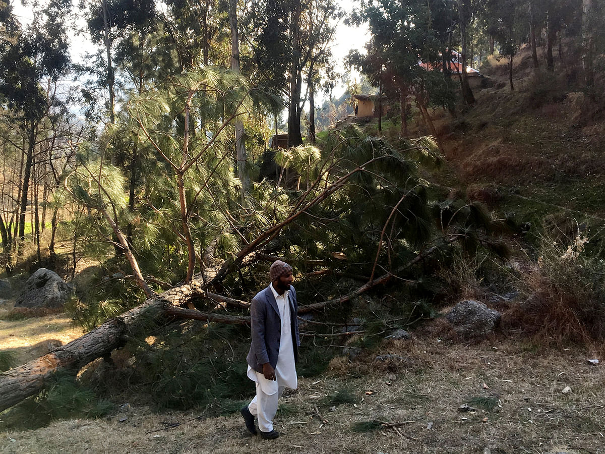 A man walks near damaged trees after Indian military aircrafts released payload, according to Pakistani officials, in Jaba village, Balakot, Pakistan on 28 February 2019. Photo: AFP