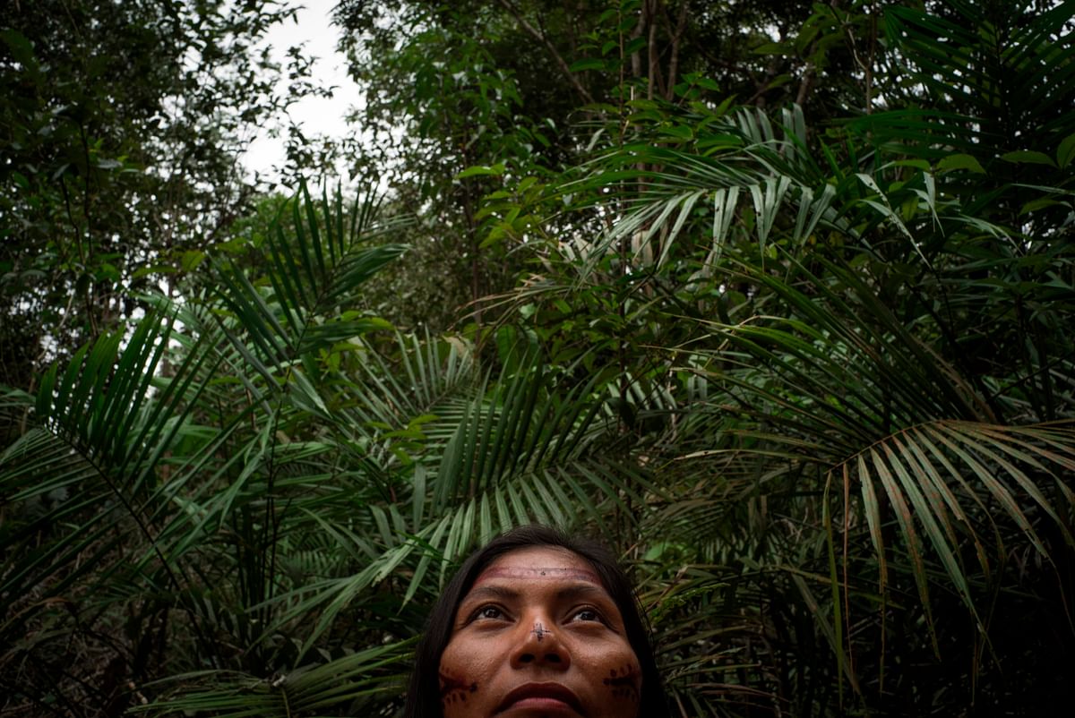 In this file picture taken on 15 February 2017 an indigenous woman is pictured in a forested area in the Parque das Tribos (Park of the Tribes) community, in the rural area of Manaus, Amazonas State, in northern Brazil. Photo: AFP