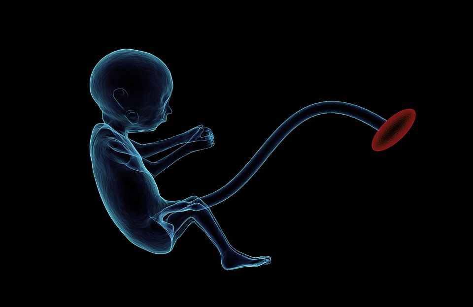 Foetus image collected
