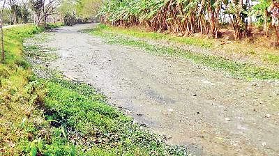 ‘Dhanshiri is dead.’ This photo of the 130-km river taken from Gabkhan area of Jhalakathi town shows the dried-up bed of the river. Photo: Prothom Alo