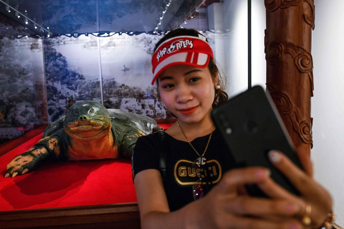 A woman takes a selfie with an embalmed giant turtle displayed at Ngoc Son temple in Hanoi on 21 March 2019. Photo: AFP