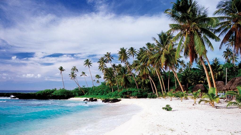 Samoa can also be a tourist attraction. Photo: Collected