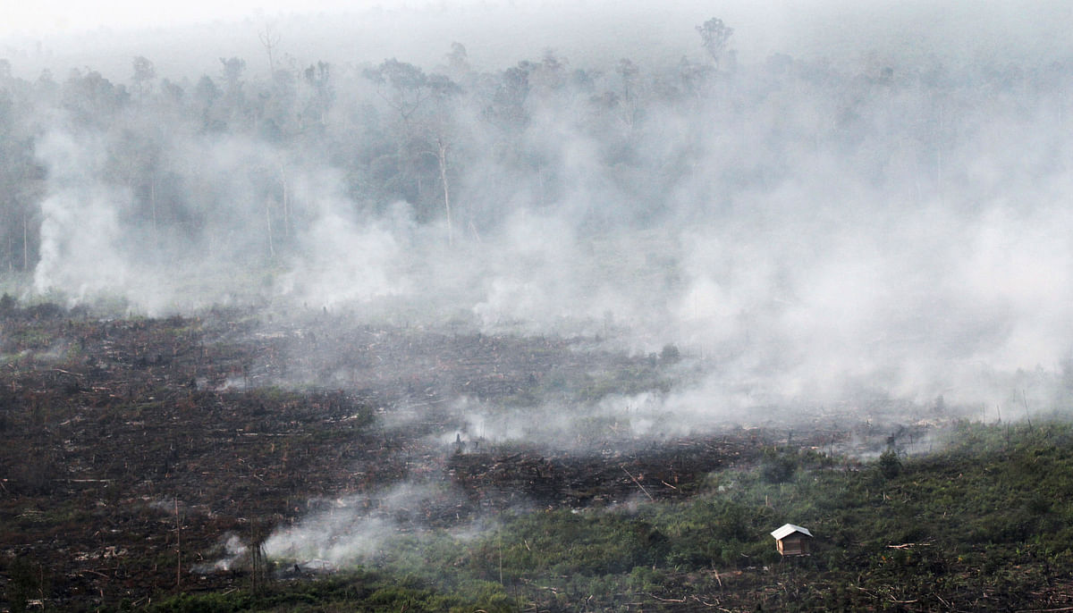 1In this 27 June 2013 file photo, smoke billows during a forest fires in Pelalawan, Riau province, Indonesia. AP File Photo